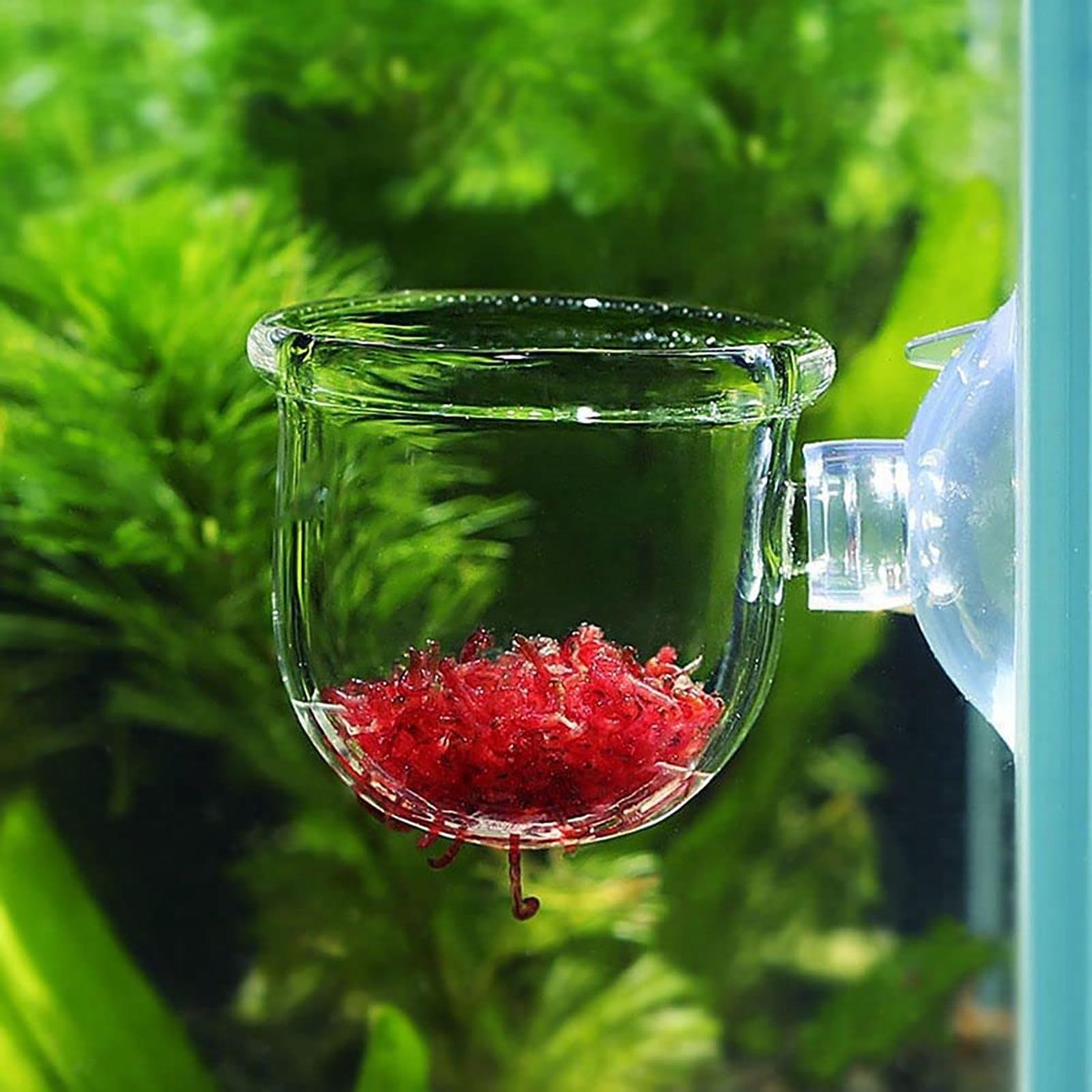Plant Growth Regulator - Plant Holder for Fish Tank Clear