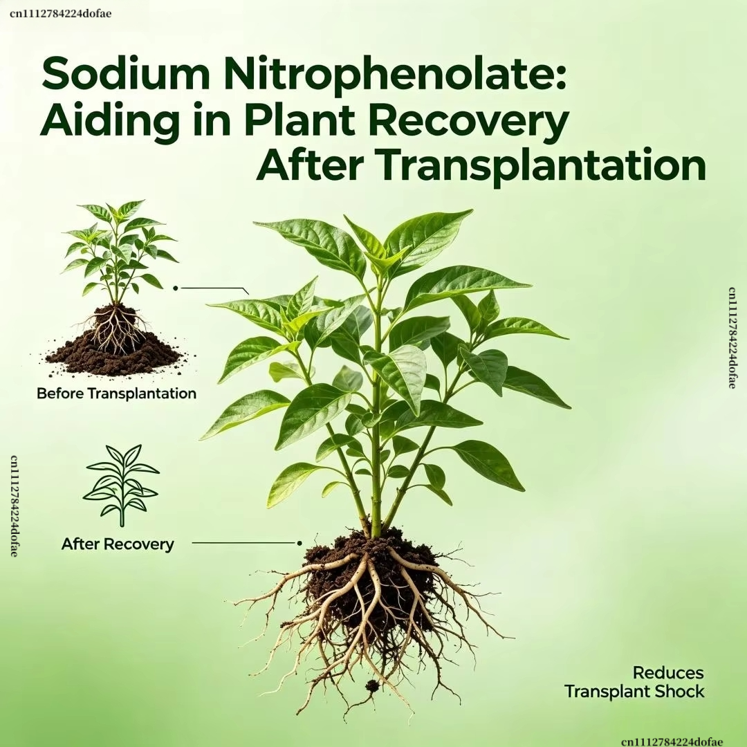 98% Sodium Nitrophenolate Plan - Plant Growth Regulator avaliação e preço