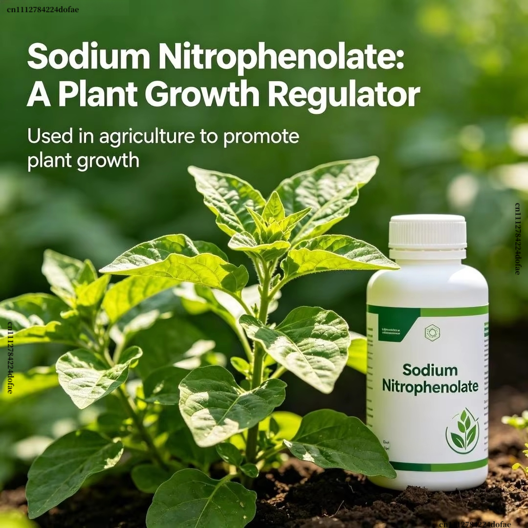 98% Sodium Nitrophenolate Plan - Plant Growth Regulator avaliação e preço