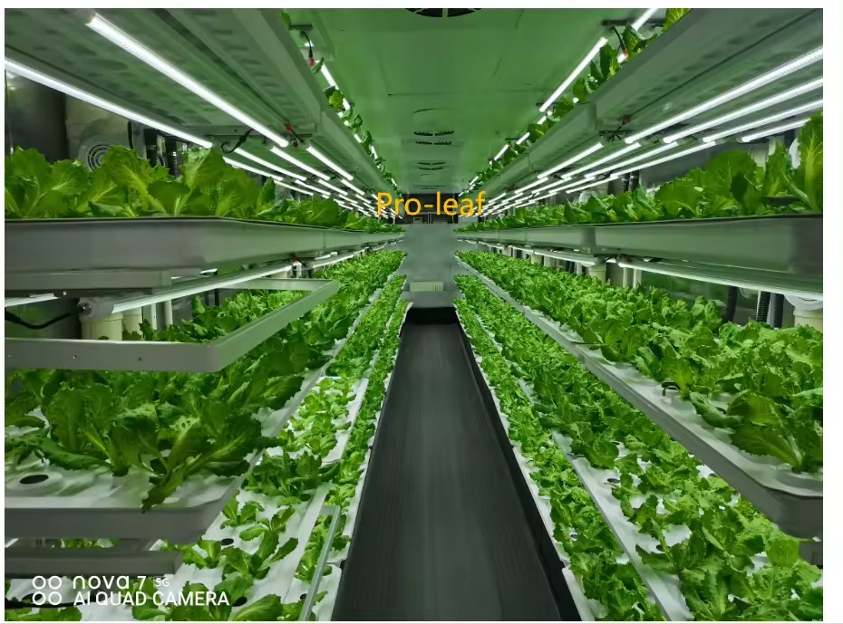 f Greenhouse Agricultural Equi - Agriculture Farming Systems avaliação e preço