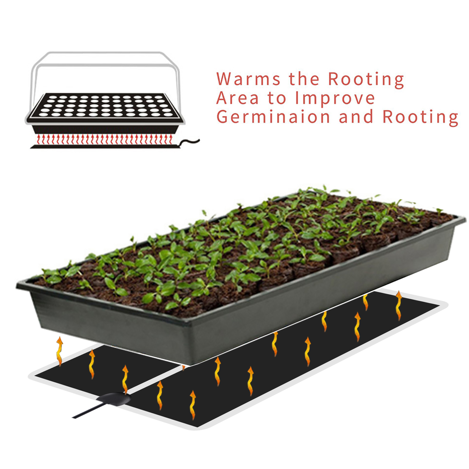 5~45W Seedling Heat Mat 220V~2 - Plant Growth Regulator avaliação e preço