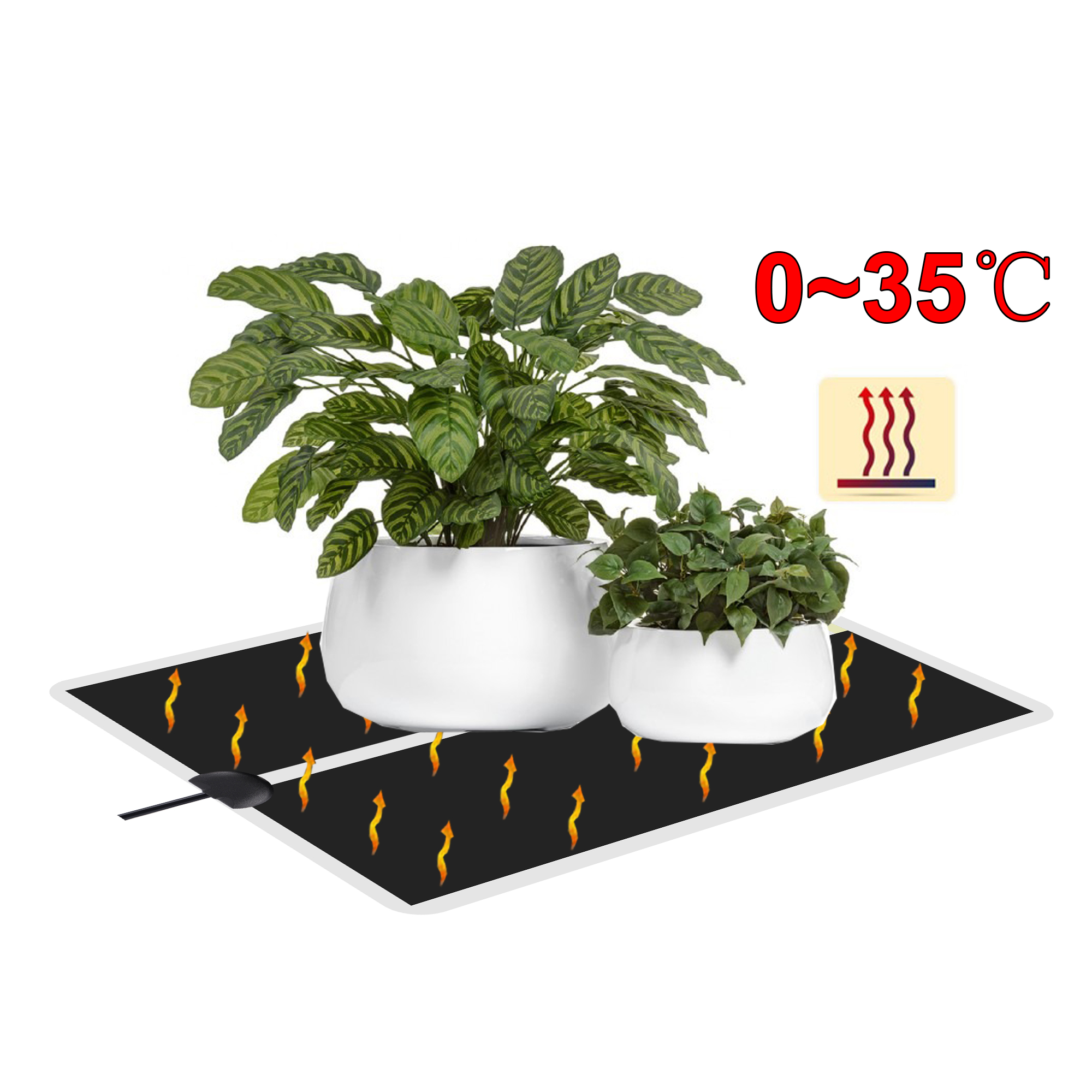 5~45W Seedling Heat Mat 220V~2 - Plant Growth Regulator avaliação e preço