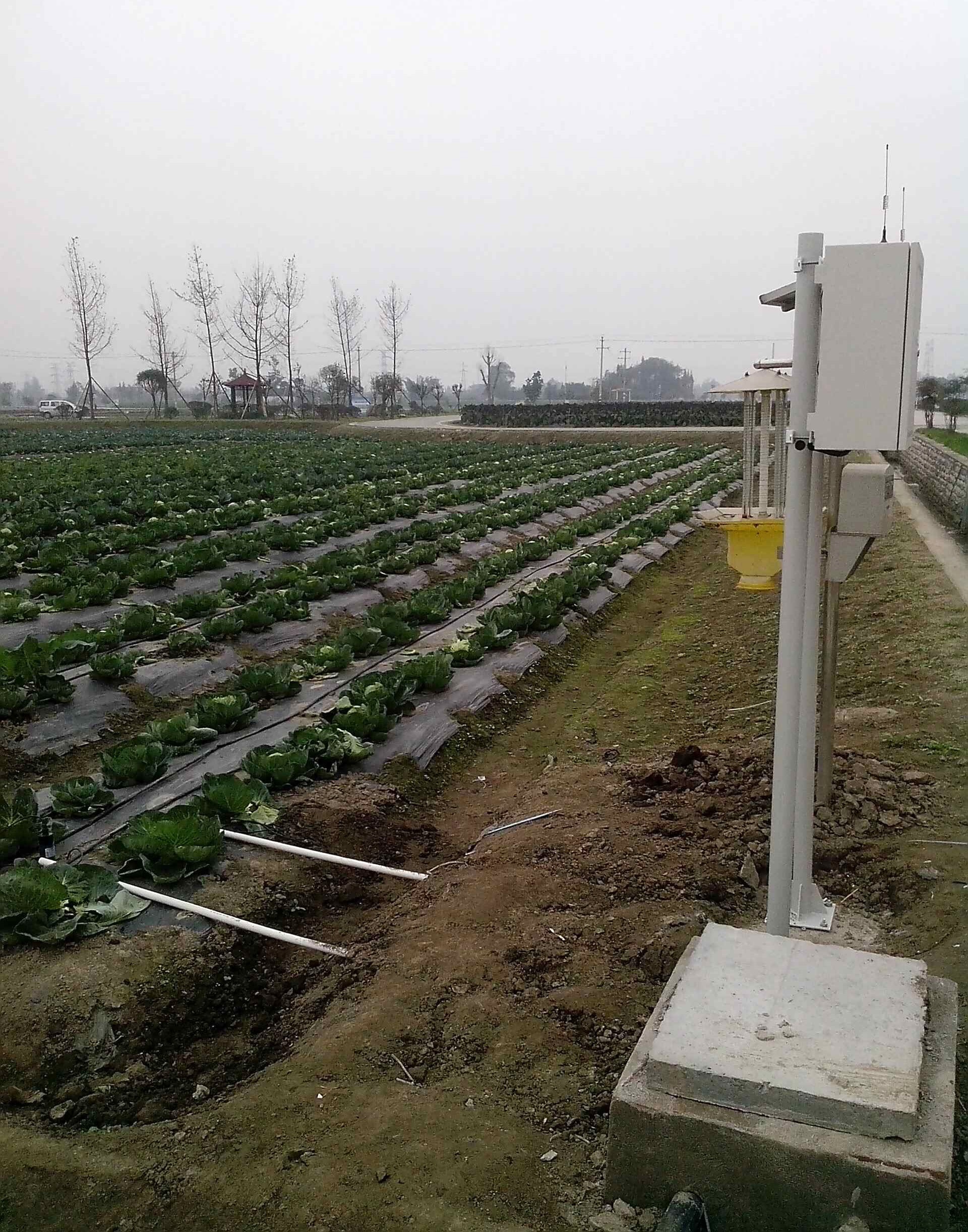 In stock 2026 Smart Crops Farm - Agriculture Farming Systems avaliação e preço