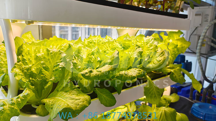 c Agriculture Machine to Growi - Agriculture Farming Systems avaliação e preço