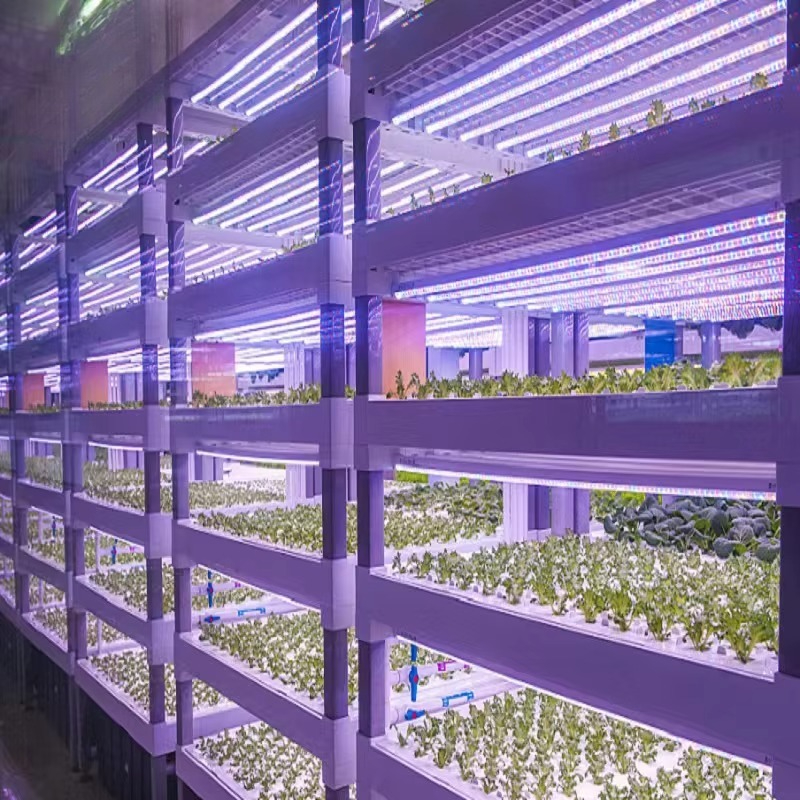 Custom Agricultural Greenhouse - Agriculture Farming Systems avaliação e preço