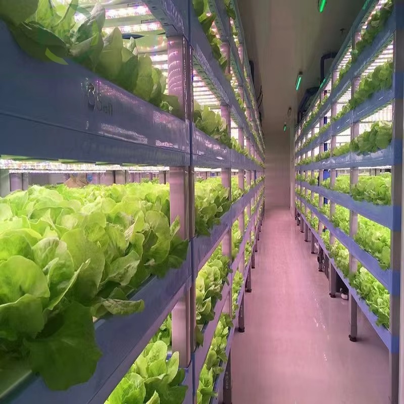 Custom Agricultural Greenhouse - Agriculture Farming Systems avaliação e preço