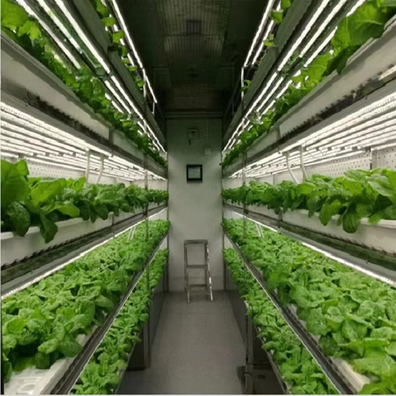 Custom Agricultural Greenhouse - Agriculture Farming Systems avaliação e preço