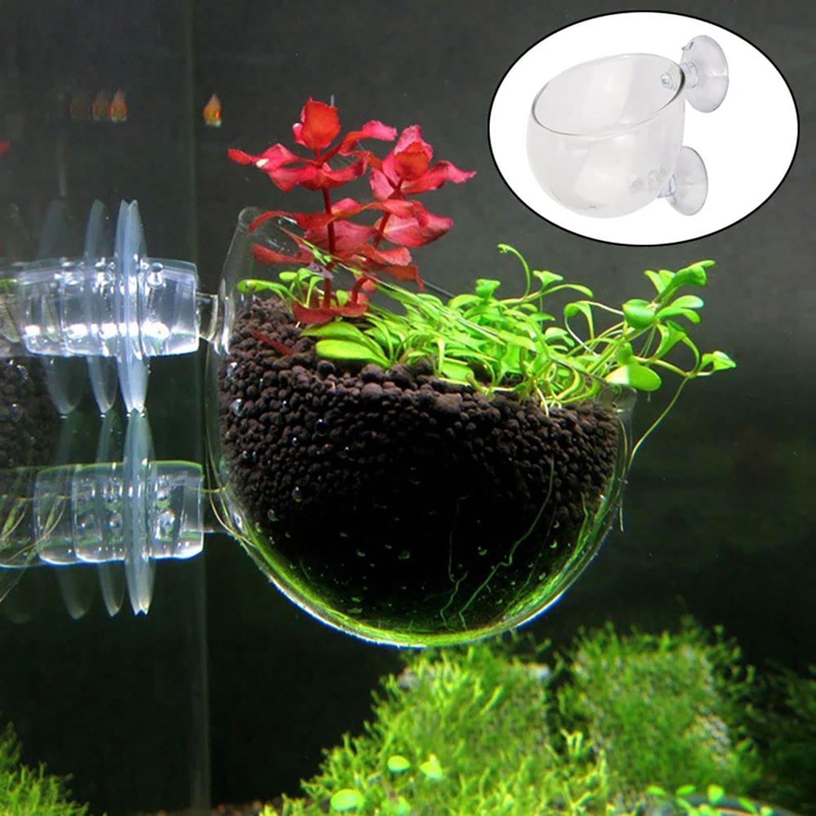 Aquatic Plant Pot Clear Acryli - Plant Growth Regulator avaliação e preço