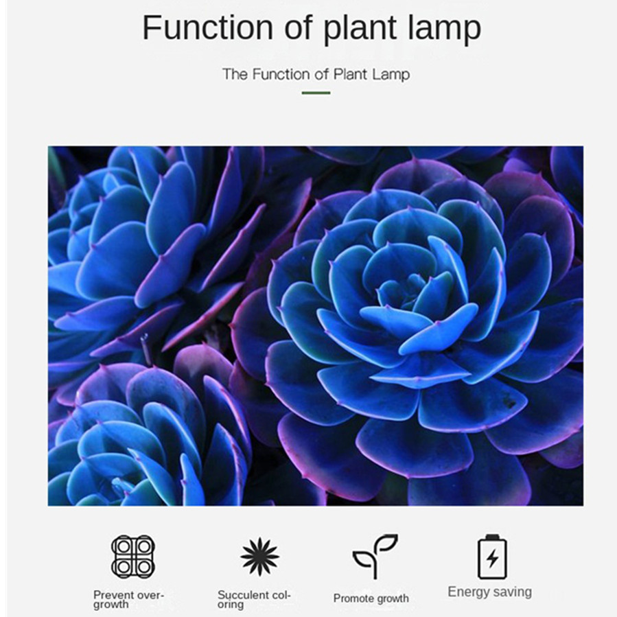 PwwQmm LED Plant Grow Lamp USB - Plant Growth Regulator avaliação e preço