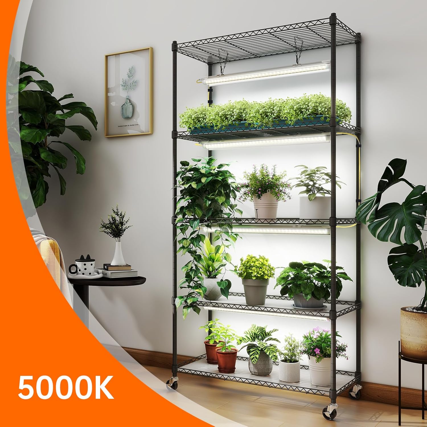 5-Tier Plant Shelf with 24W LE - Plant Growth Regulator avaliação e preço